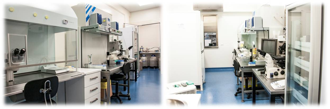 PMA — Procreazione Medicalmente Assistita