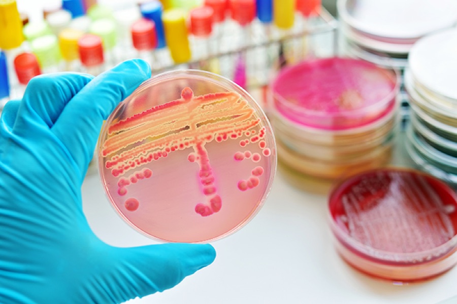 Microbiologia